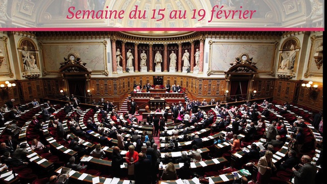 Sénat.Hebdo N°200 (1/02/2016)