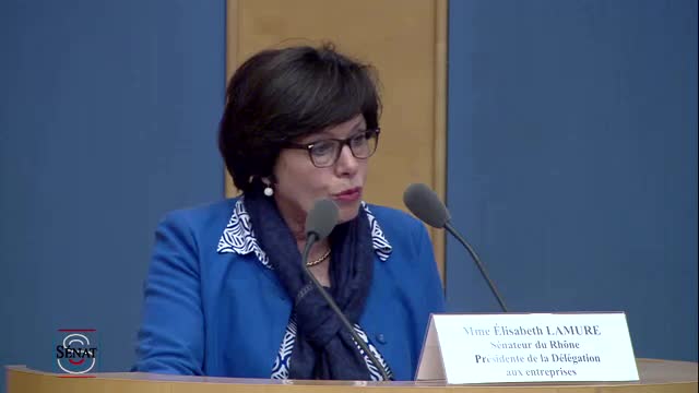 Journée des entreprises au Sénat