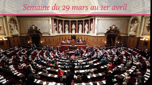 Sénat.Hebdo N°205 (01/04/2016)