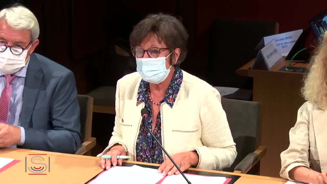 Table ronde sur "les consequences de la situation sanitaire pour les entreprises et leurs premiéres réactions au plan de relance"
