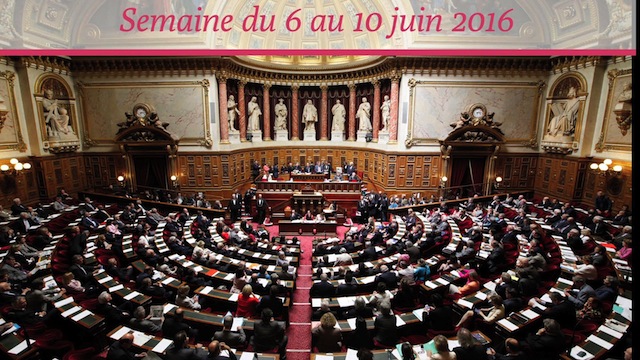 Sénat.Hebdo N°213 (10/06/2016)