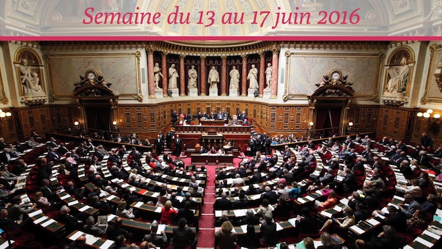 Sénat.Hebdo N°214 (17/06/2016)