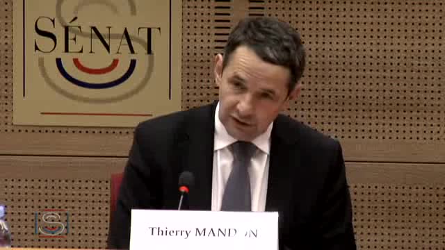 Audition de Thierry Mandon, secrétaire d'État chargé de l'Enseignement supérieur et de la Recherche sur la préparation de la rentrée universitaire et sur le financement de la recherche.