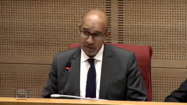 Audition de Harlem Désir sur les conclusions du Conseil européen des 28 et 29 juin