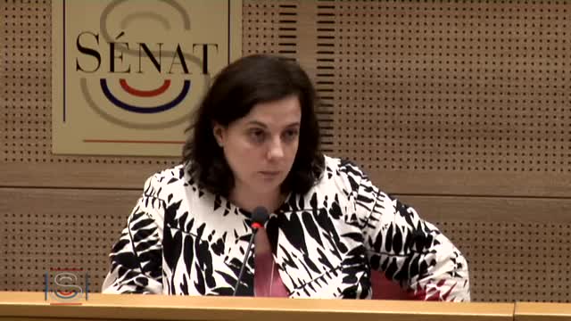 C.S. "PJL Égalité et citoyenneté"
