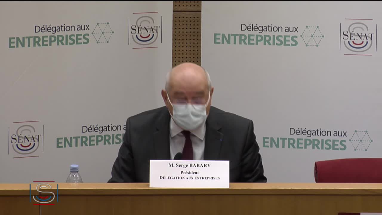 Audition plénière - Délégation sénatoriale aux entreprises