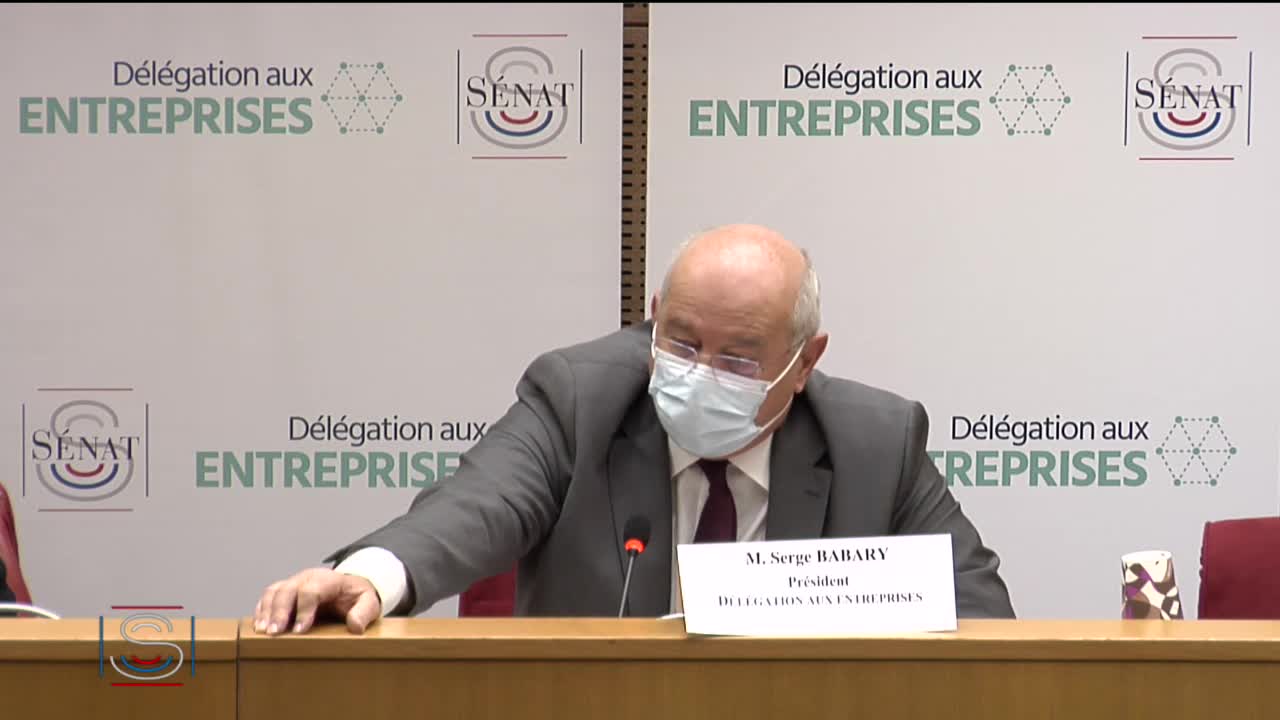 Audition plénière - Table ronde sur les « Difficultés des TPE et PME dans la crise : comment franchir le 1er semestre 2021 ?