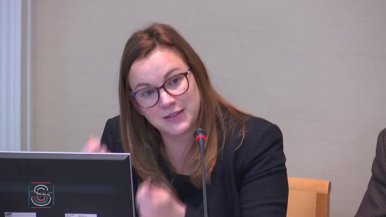 PLF pour 2017 - Audition Mme Axelle Lemaire, secrétaire d'Etat