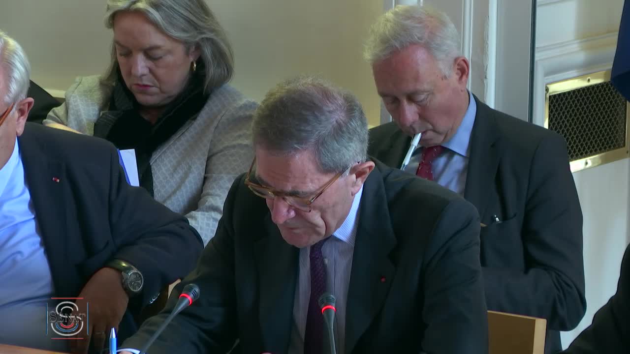 Audition de M. Gérard Mestrallet