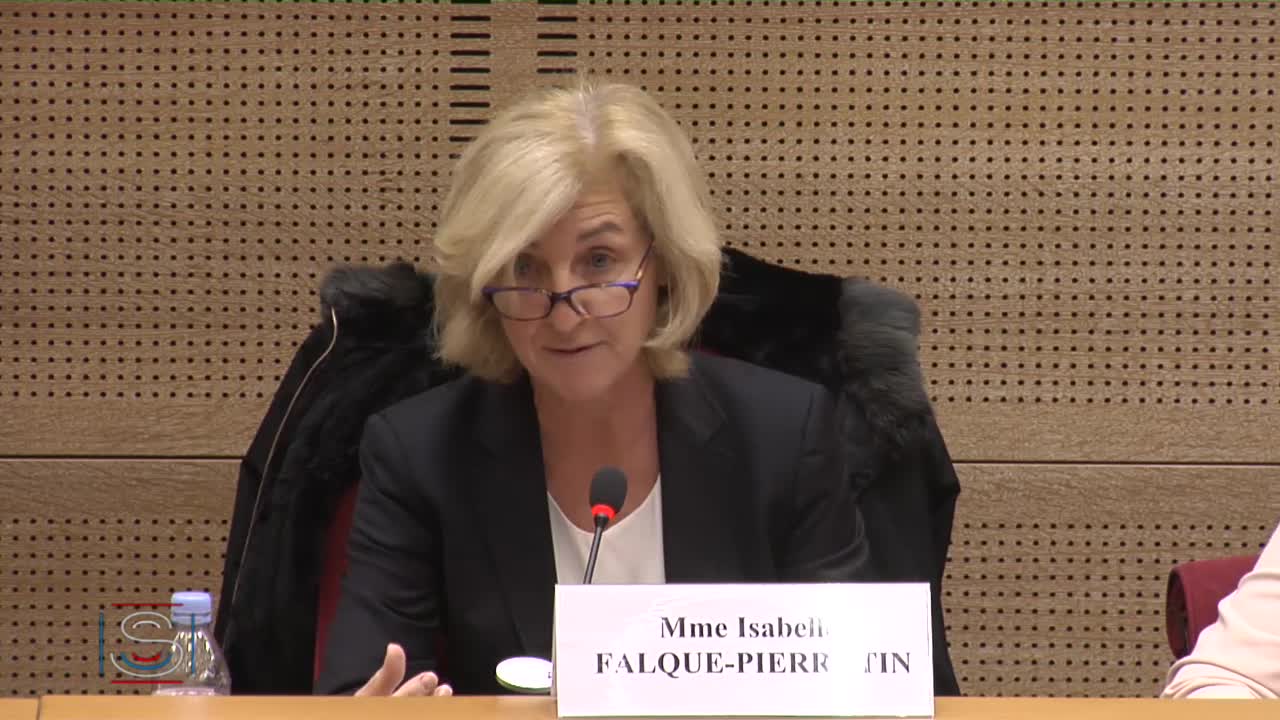 Audition de Mme Isabelle Falque-Pierrotin
