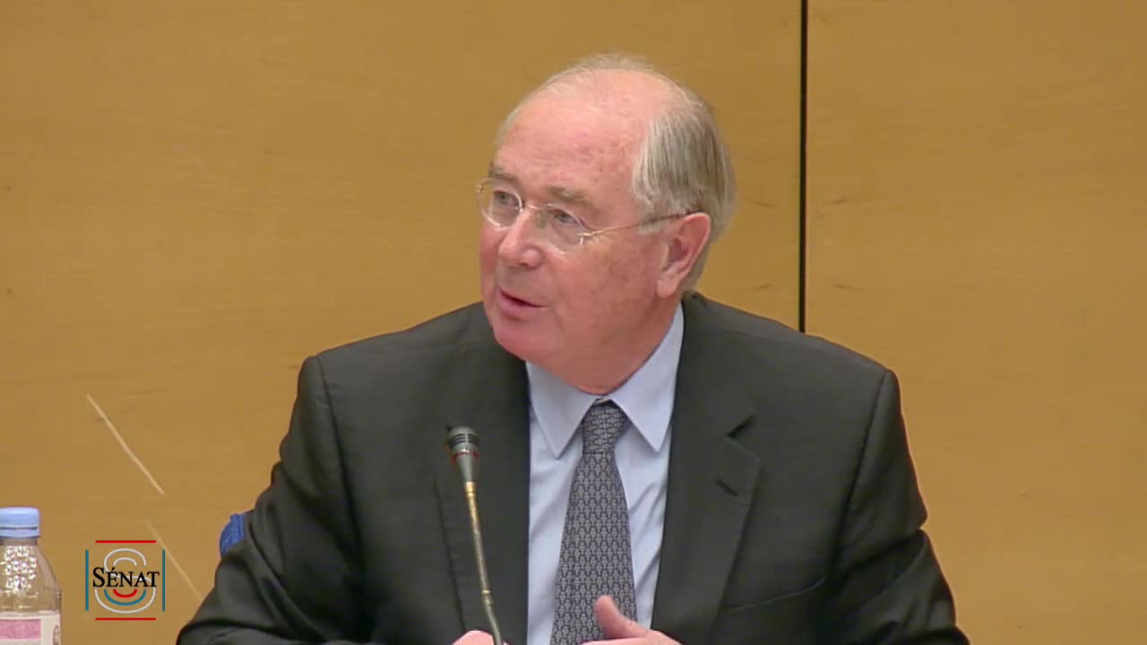 Audition de M. Harlem Désir et de M. Michael Roth, secrétaire d'Etat allemand