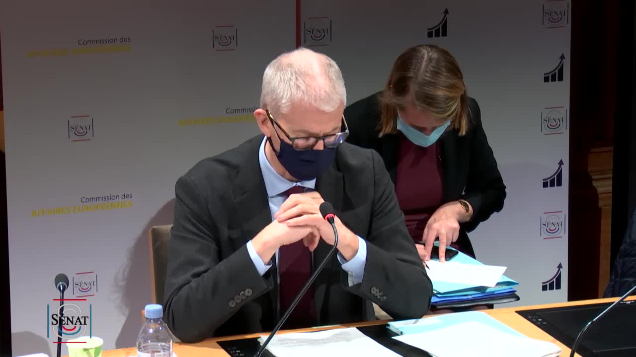 Audition de M. Franck Riester, ministre délégué auprès du ministre de l'Europe et des affaires étrangères, chargé du commerce extérieur et de l'attractivité (en commun avec la commission des affaires européennes et la commission des affaires économiques)