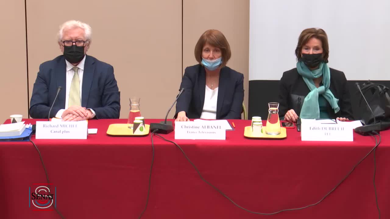 Audition commune de représentants de comités d’éthique : Mme Christine Albanel, pour France Télévisions ; Mme Édith Dubreuil, pour TF1 et M. Richard Michel, pour Canal plus