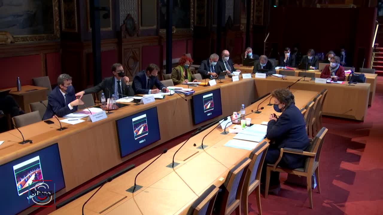 Audition de Mme Roselyne BACHELOT, ministre de la culture