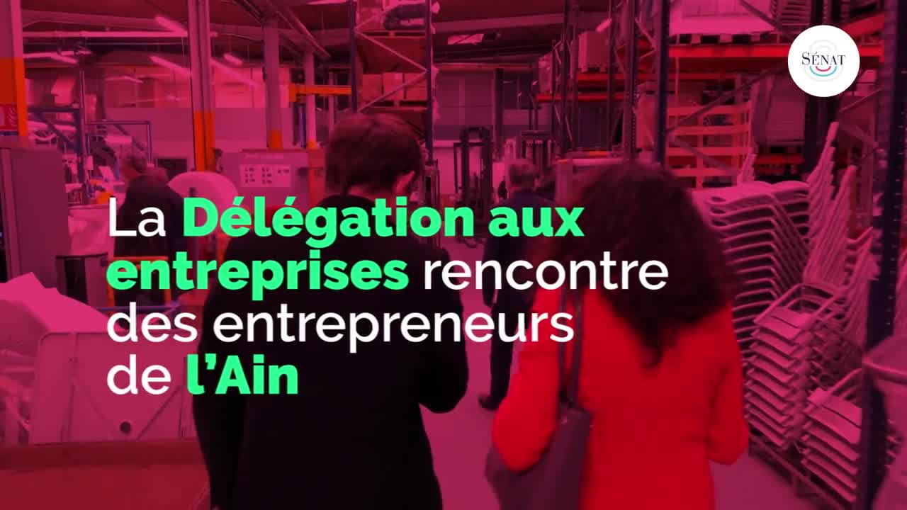 La Délégation aux entreprises à la rencontre de PME dans l'Ain