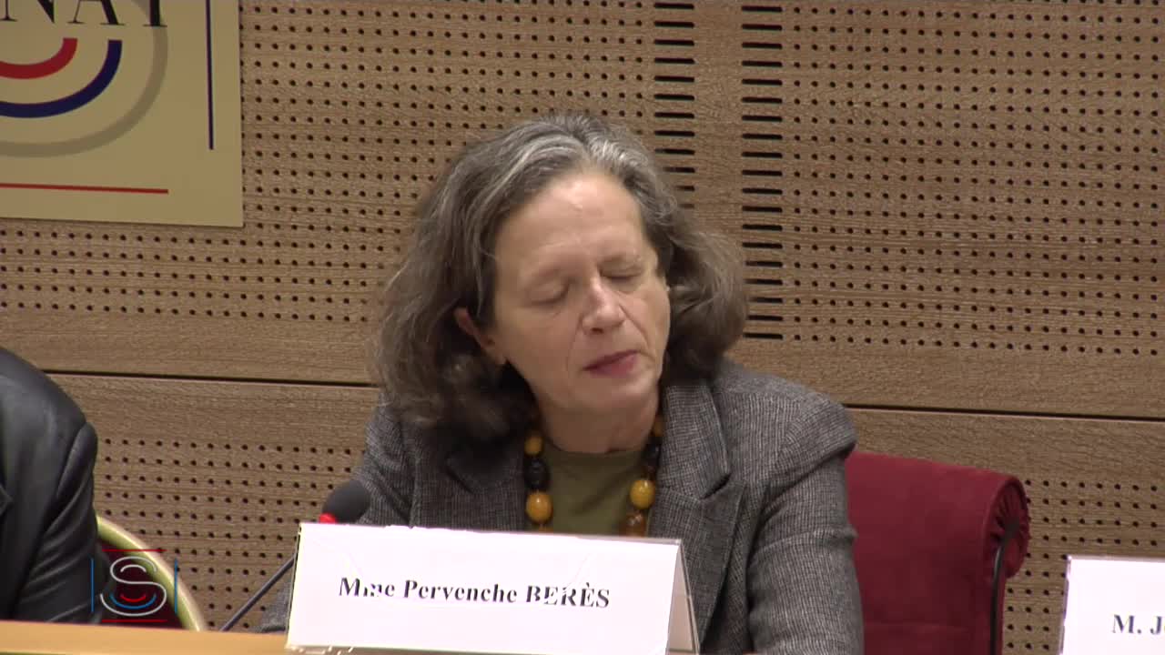 Audition de M. Jean-Claude Trichet et de Mme Pervenche Berès