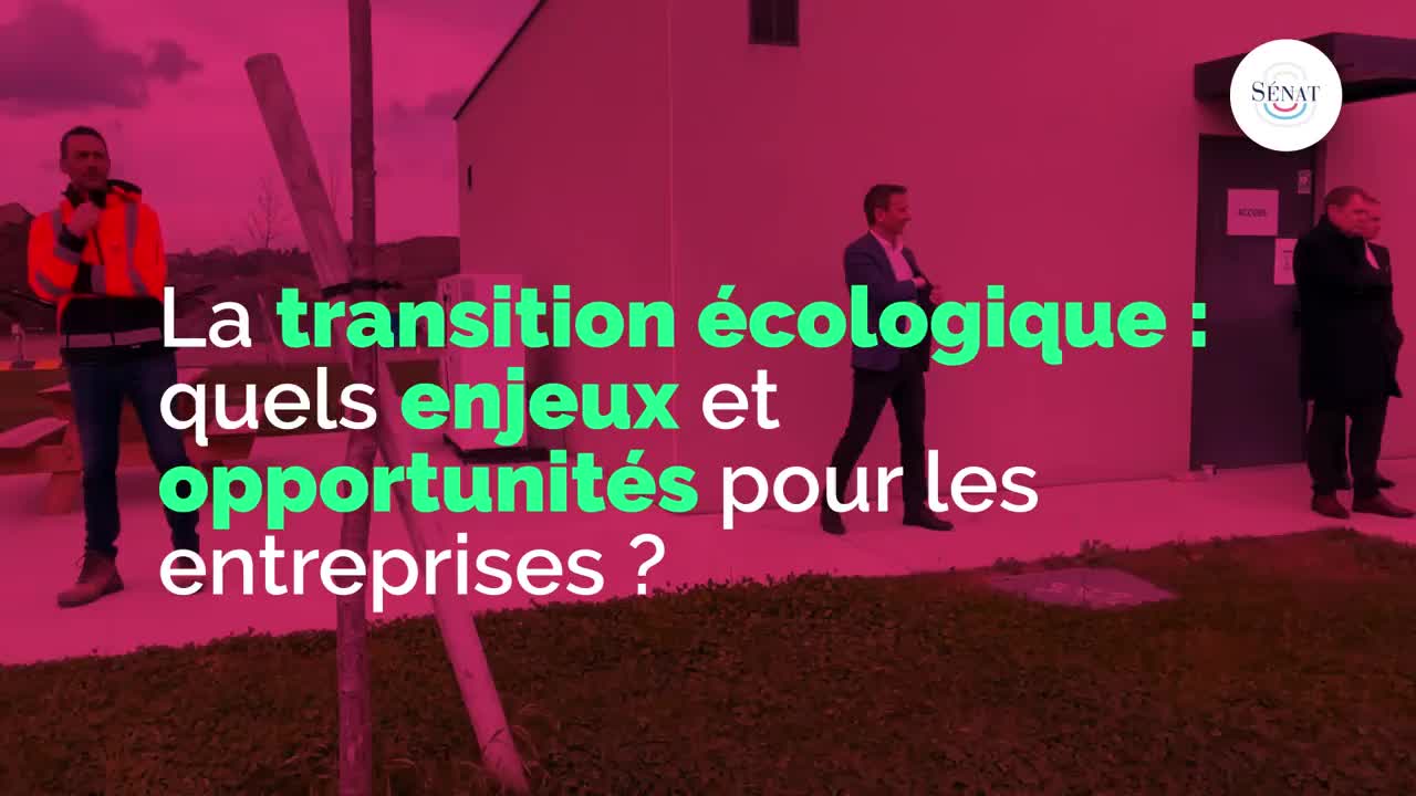La transition écologique : quels enjeux et opportunités pour les entreprises ?