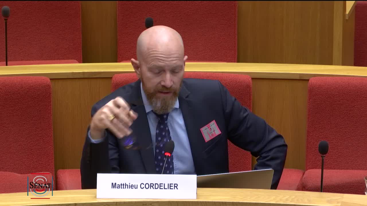 Rapport d'information sur la pornographie - Audition du Groupe Dorcel et du Groupe Ares
