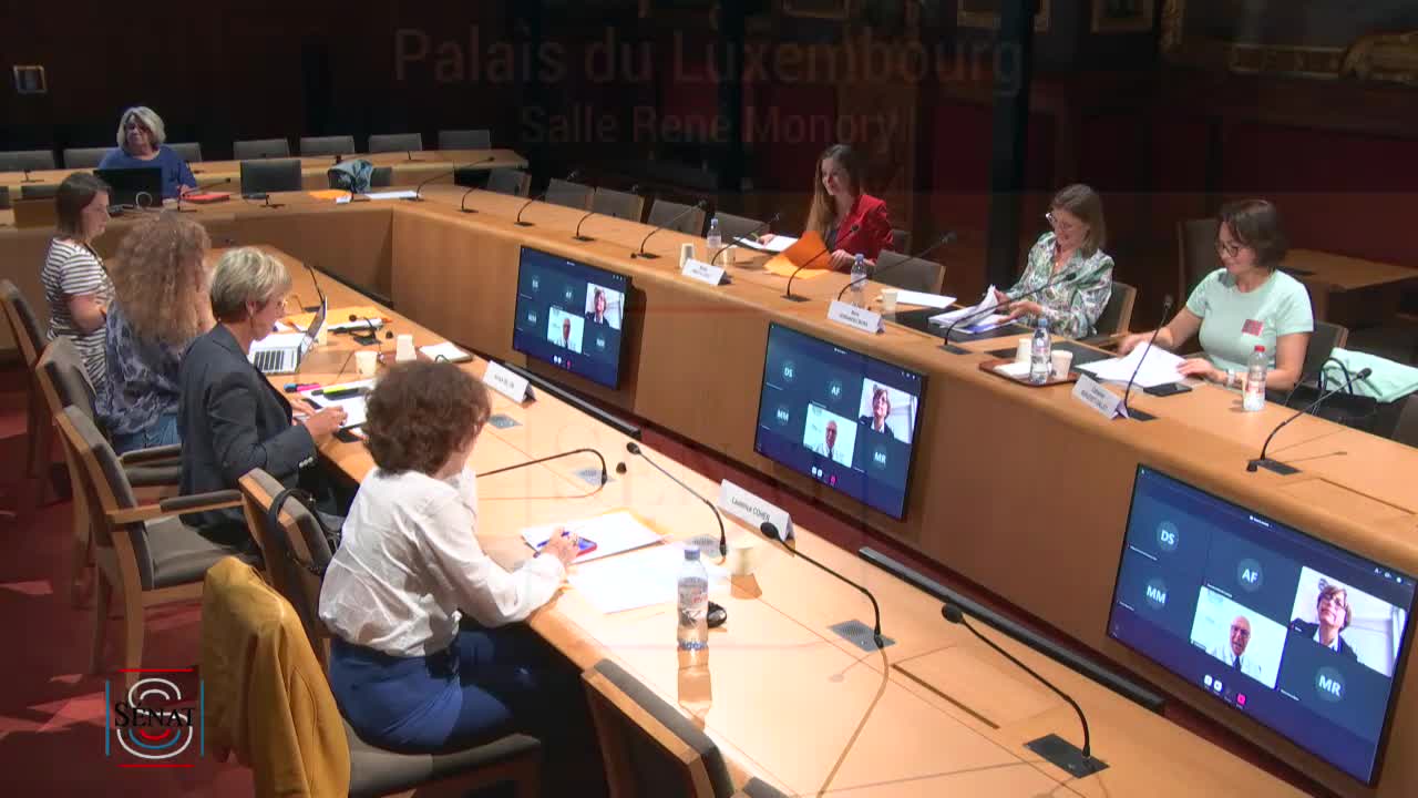 Table ronde sur les représentations des femmes et des sexualités véhiculées par la pornographie