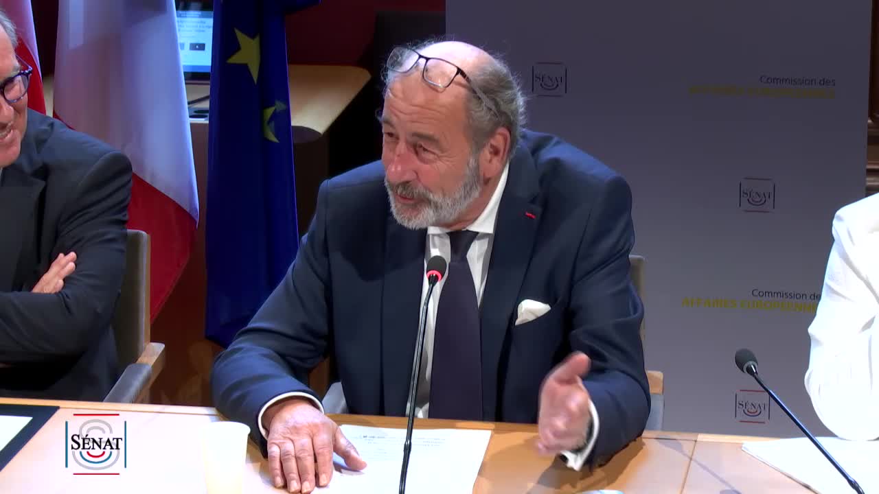 Audition de Michal Fleischmann, ambassadeur Tchéque