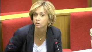 Règlement des comptes et rapport de gestion pour l'année 2009