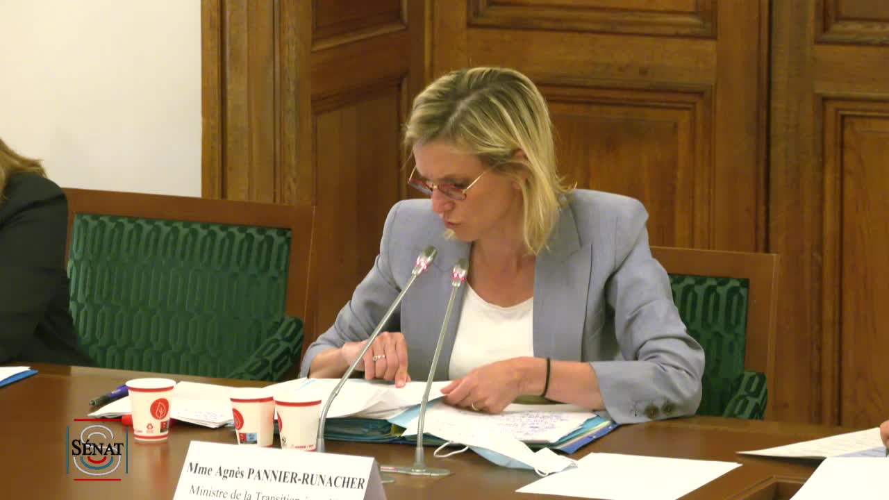 Audition de Mme Agnès Pannier-Runacher, ministre de la transition énergétique