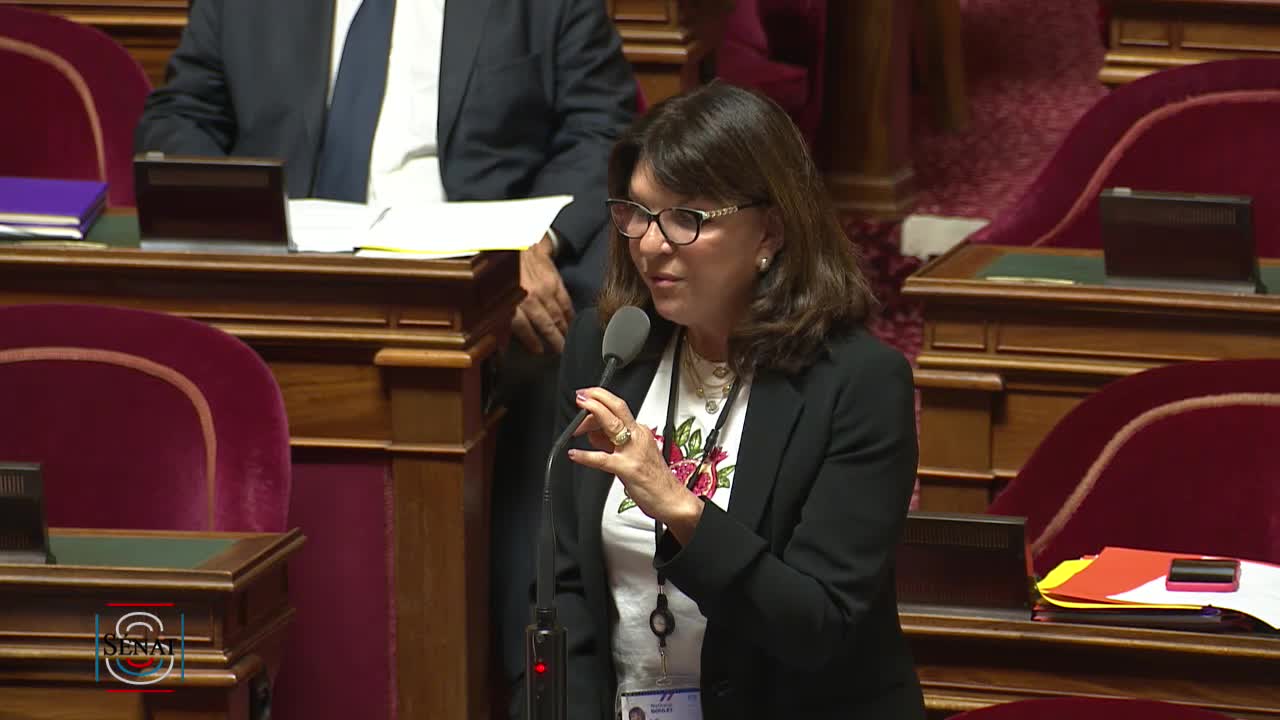 Séance publique du 28 juillet 2022 (soir)