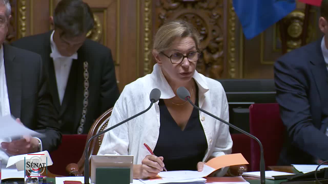 Séance publique du 29 juillet 2022 (matin)