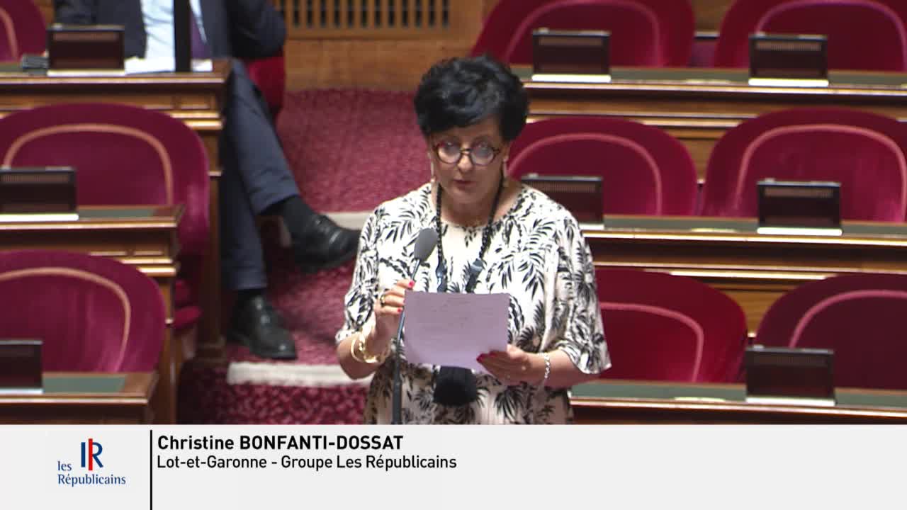 Séance publique du 2 août 2022 (matin)