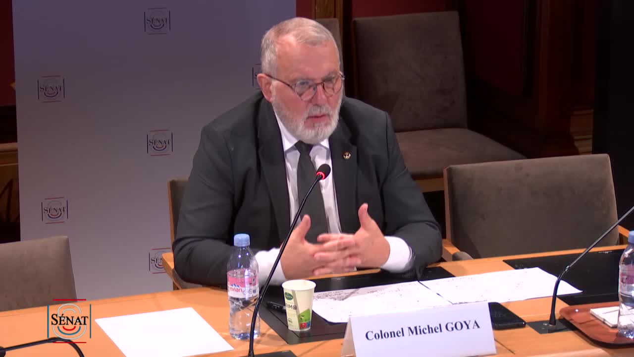 Audition du Colonel Michel Goya