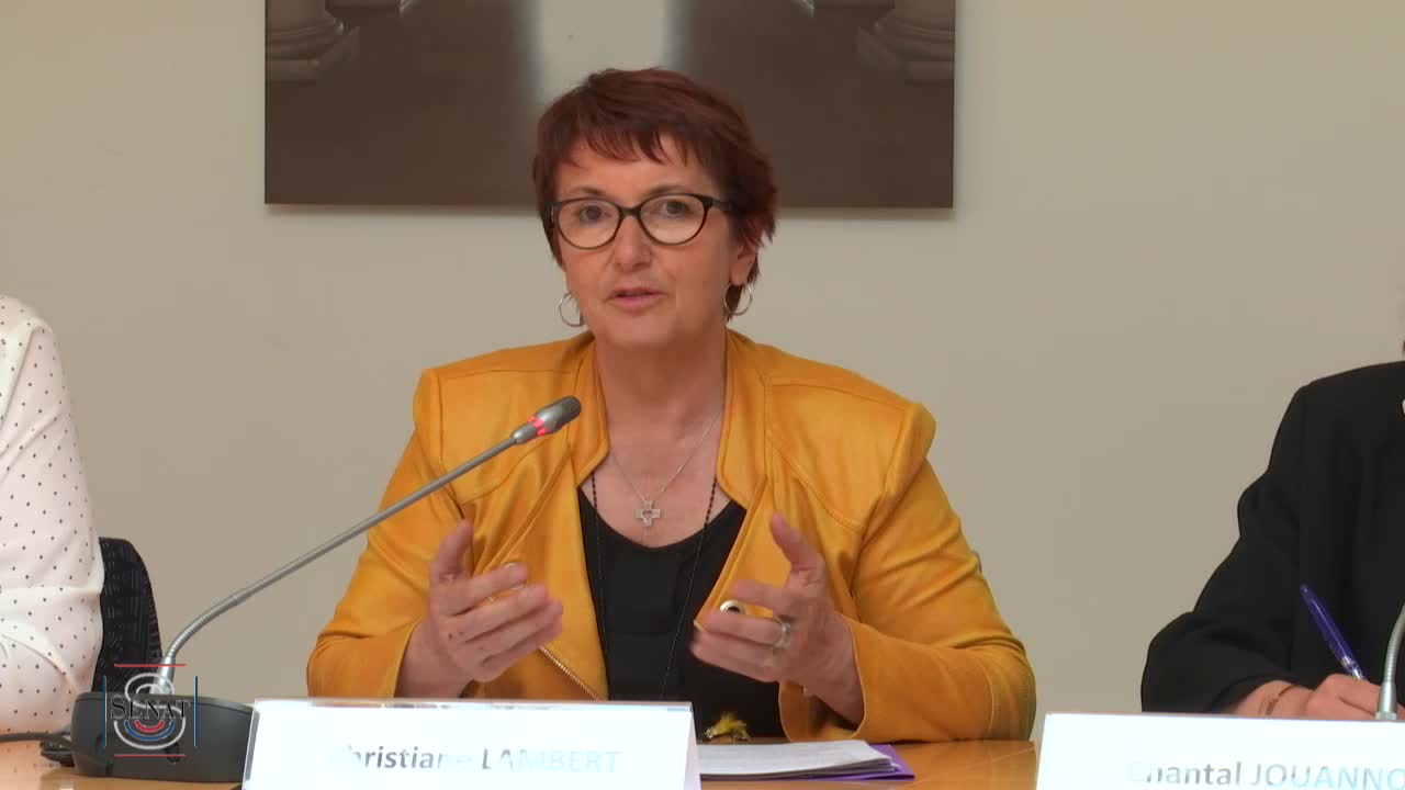 Audition de Mme Christiane Lambert, présidente de la FNSEA