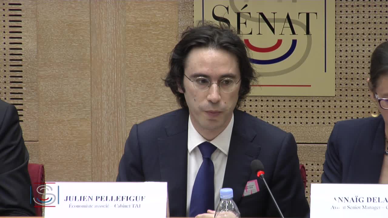 Présentation par MM. Nicolas Meurant et Julien Pellefigue - Impôt à la source
