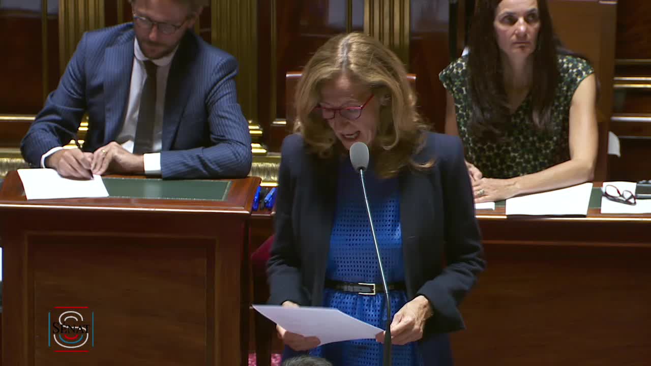Séance publique du 2 août 2017 (après-midi)