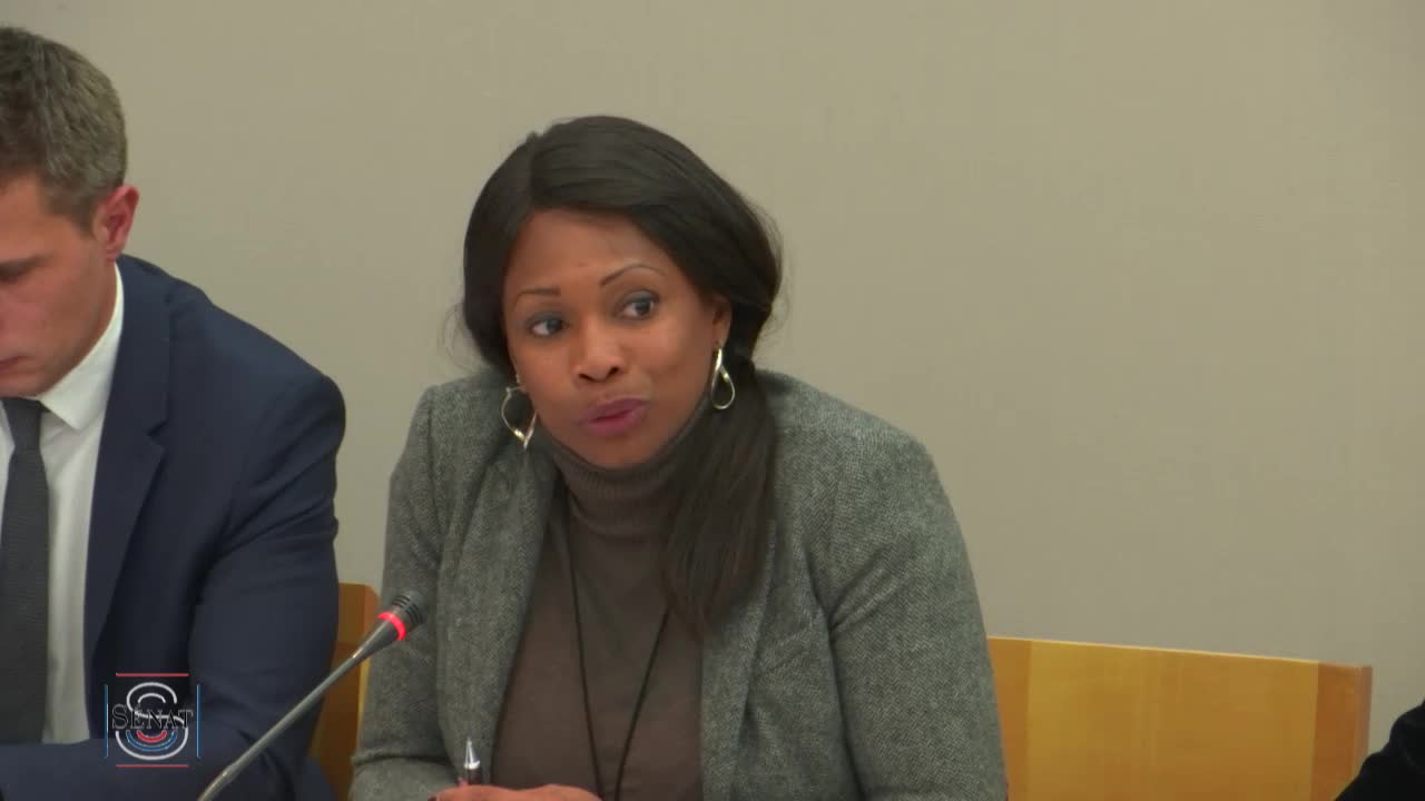 PLF 2018 - Audition Mme Laura Flessel, ministre