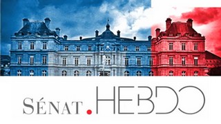 Senat.Hebdo N°31 (13/05/2011)