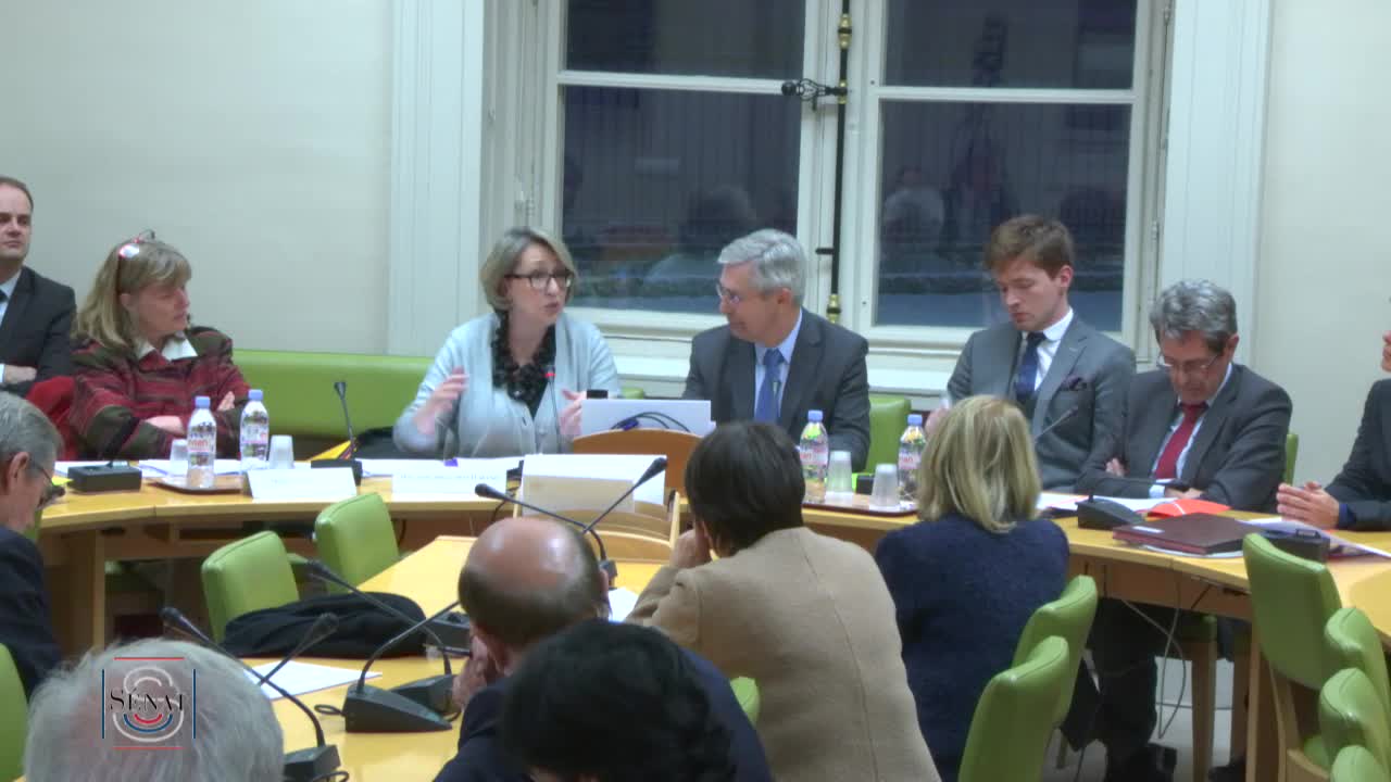 Situation dans les EHPAD - Audition de Mmes Anne-Marie Montchamp et Anne Burstin (CNSA)