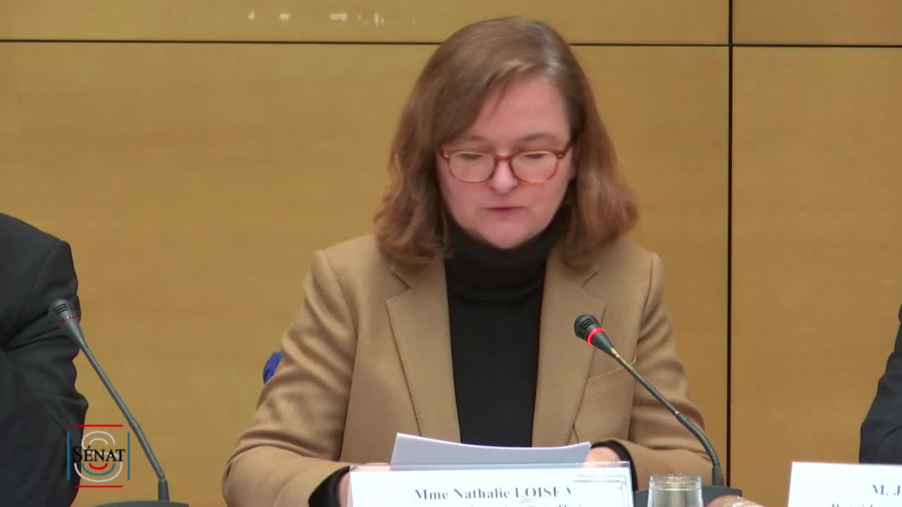Audition de Mme Nathalie Loiseau sur le suivi des résolutions européennes du Sénat