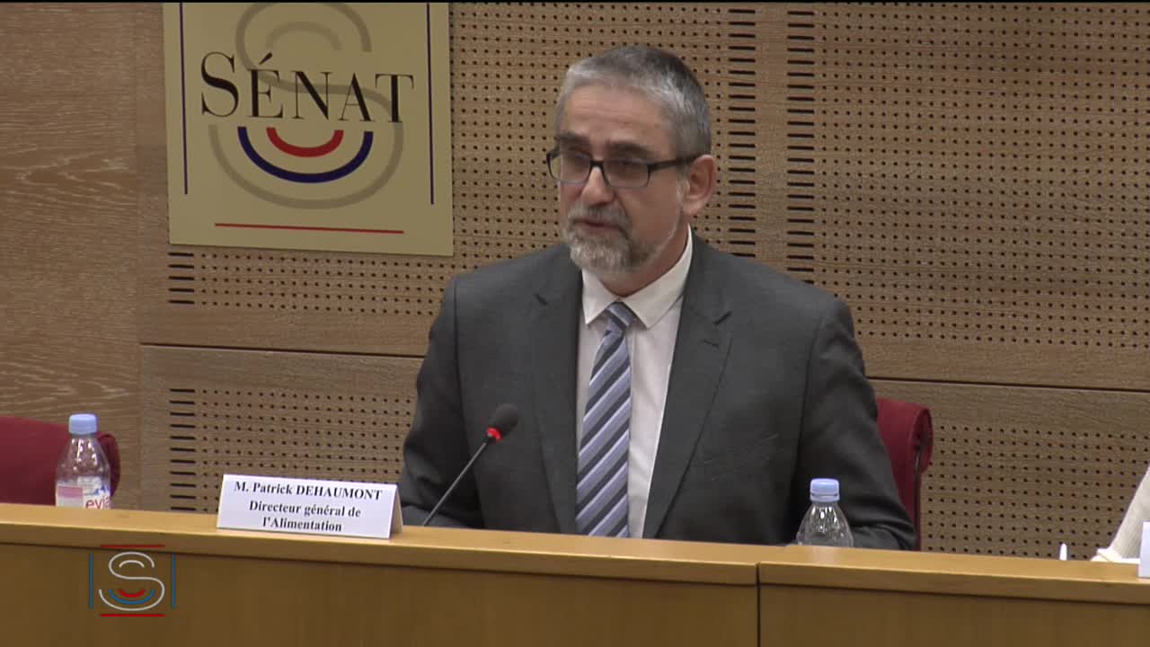 Audition de M. Patrick Dehaumont, directeur général de l'Alimentation