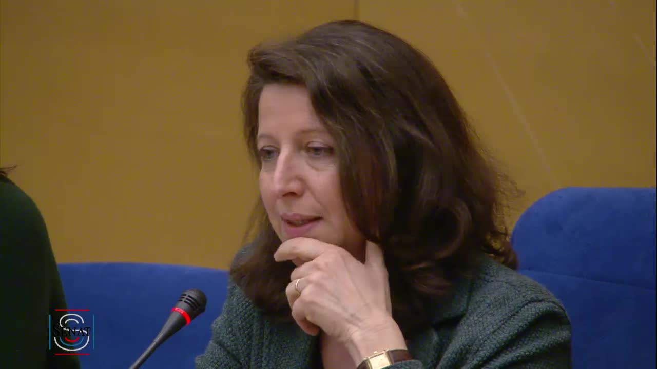 Audition Mme Agnès Buzyn, Ministre des Solidarités et de la Santé