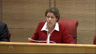 Audition de M. Pflimlin, PDG de France Télévisions sur le contrat d'objectifs et de moyens applicable aux années 2009-2012