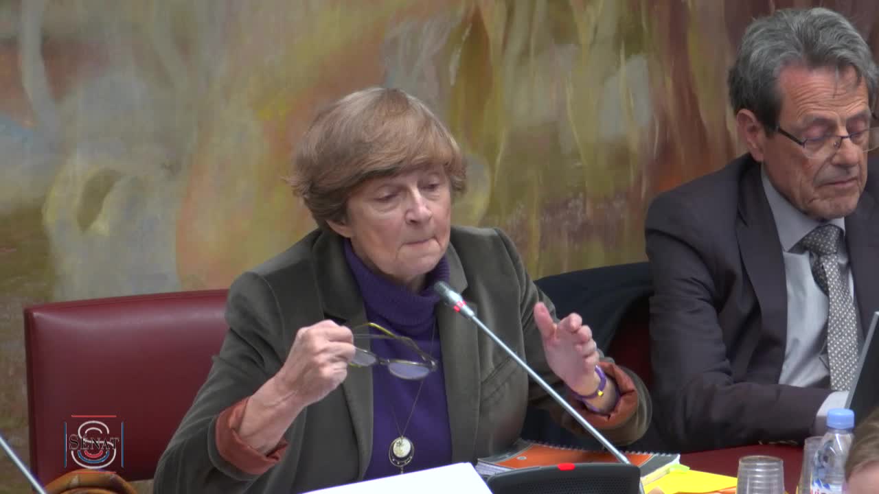 Audition de M. Pierre-Louis Bras, président COR et Mme Yannick Moreau, présidente CSR