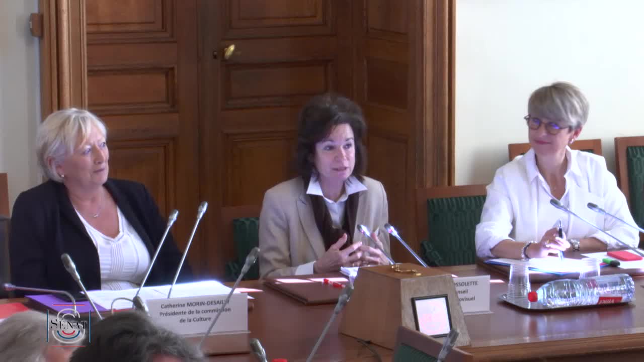 Action du CSA sur les droits des femmes - Audition de Mme Sylvie Pierre-Brossolette