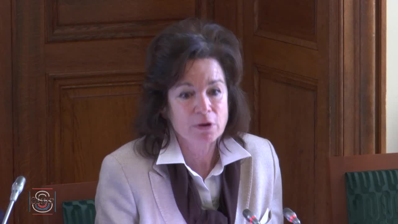 Action du CSA sur les droits des femmes - Audition de Mme Sylvie Pierre-Brossolette