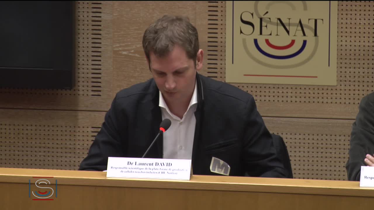 Recherche sur les cellules souches et les embryons