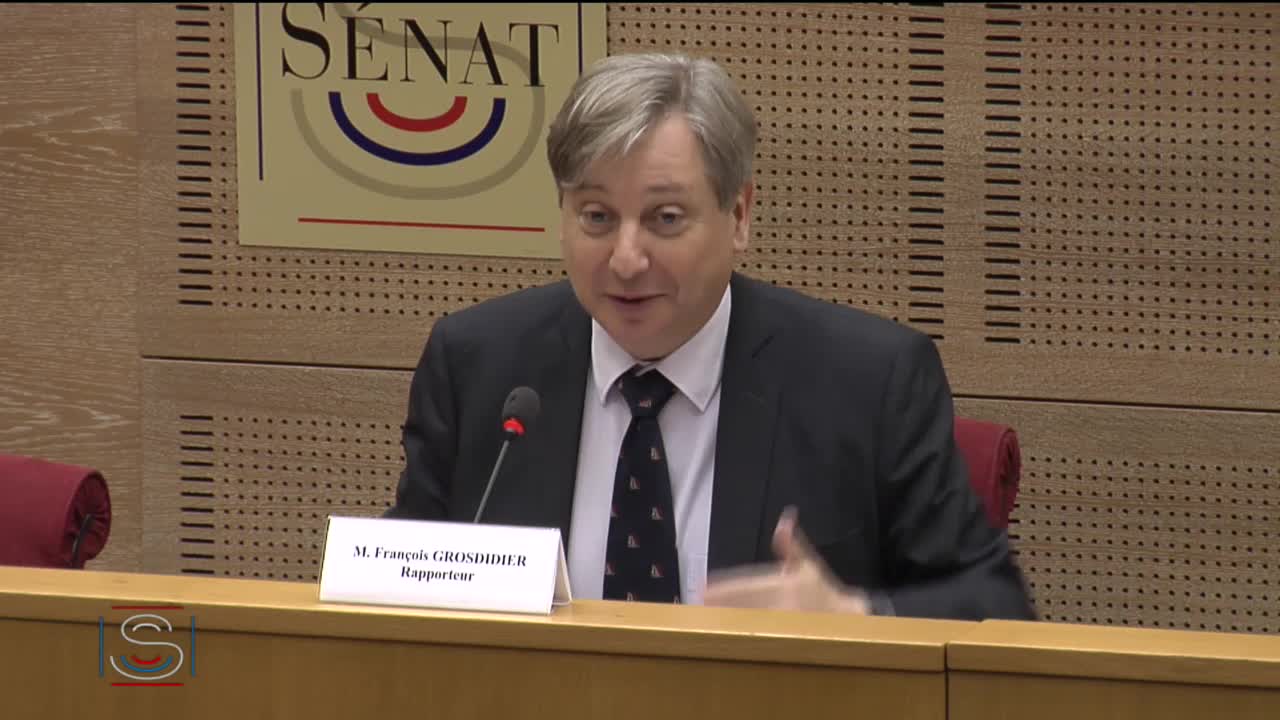 Commission d'enquête sur l'état des forces de sécurité