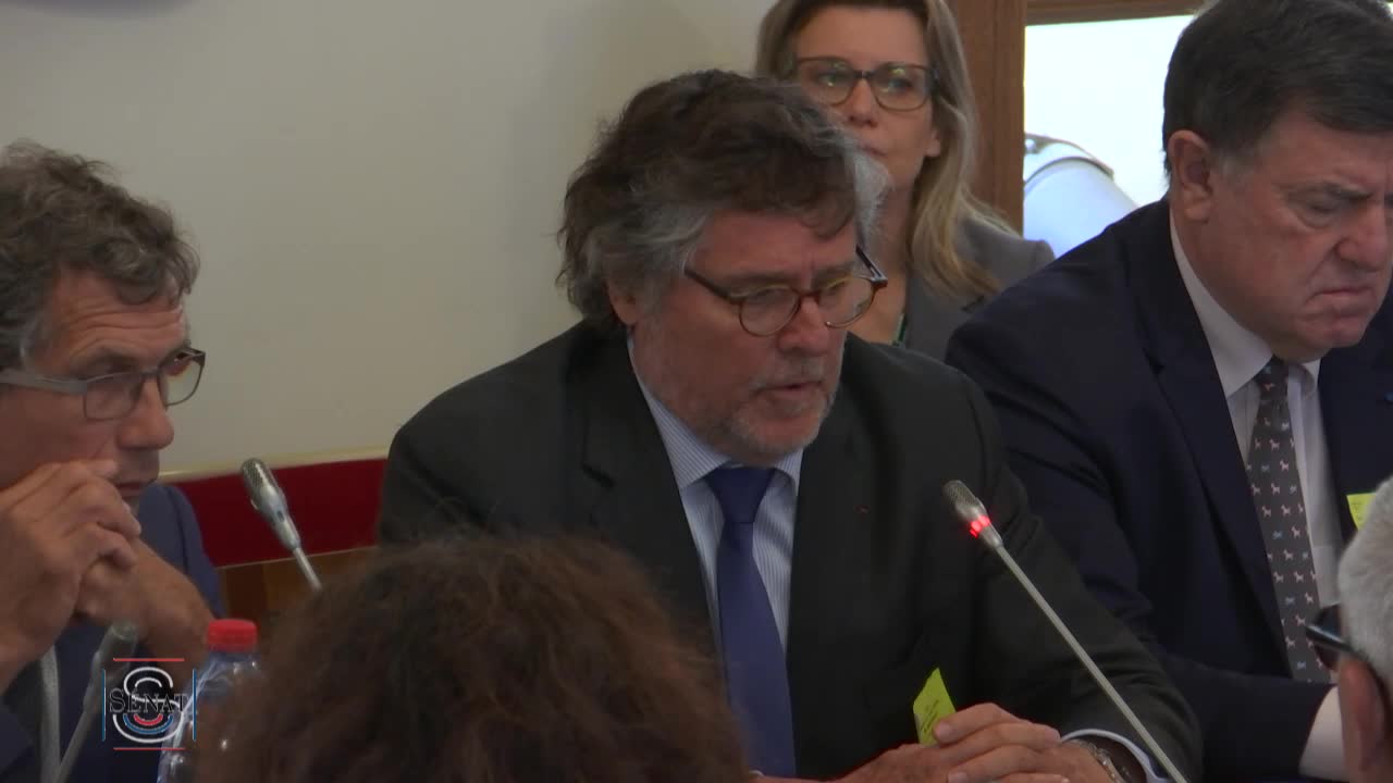 Audition relative au financement du programme d’options spécifiques à l’éloignement et à l’insularité (POSEI)