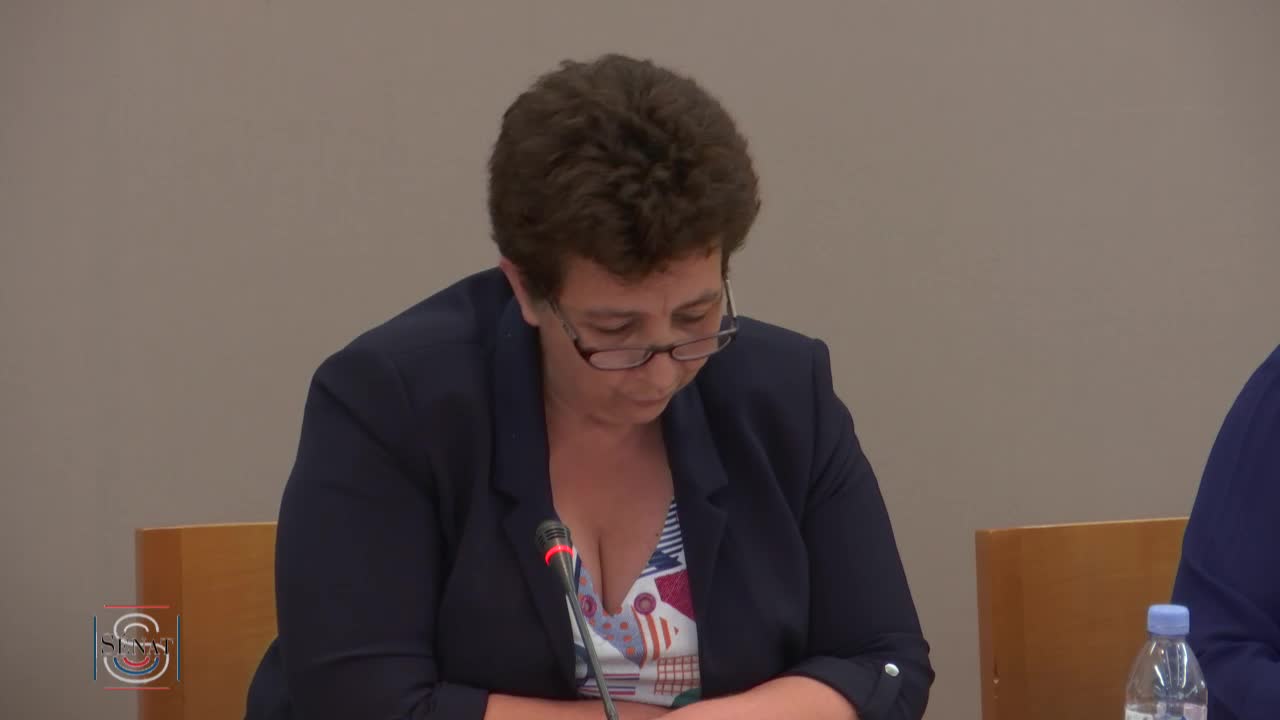 Audition de Mme Frédérique Vidal, ministre de l’enseignement supérieur, de la recherche et de l’innovation