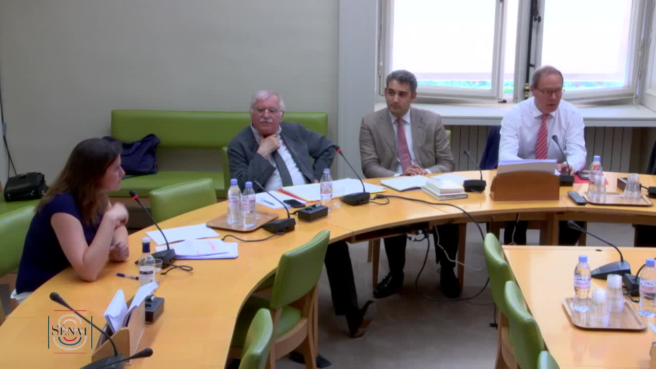 Auditions de Mme Élise Van Beneden, Avocate, secrétaire générale adjointe d'ANTICOR