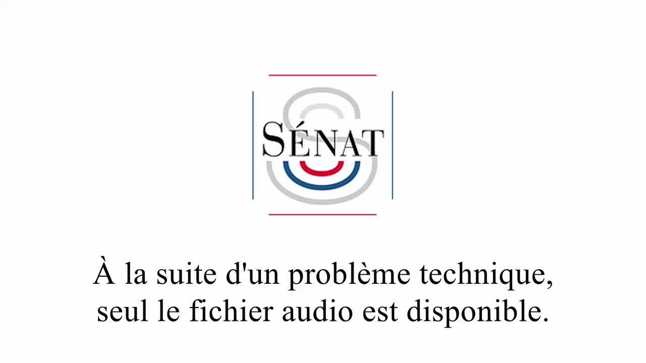 Video France O logo