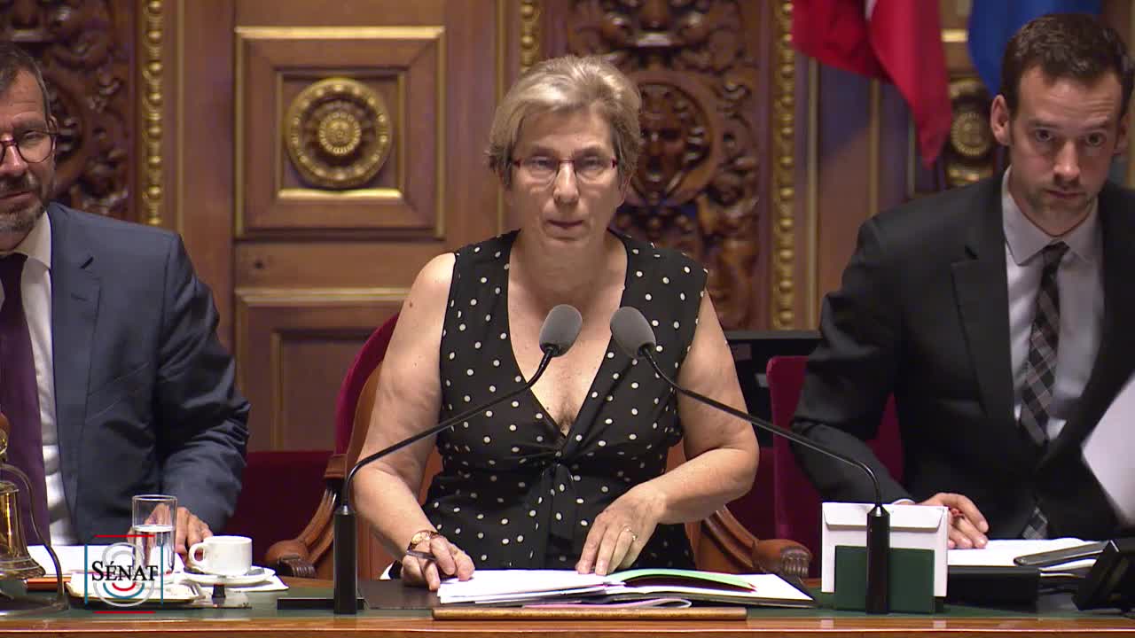 Séance publique du 24 juillet 2018 (soir)